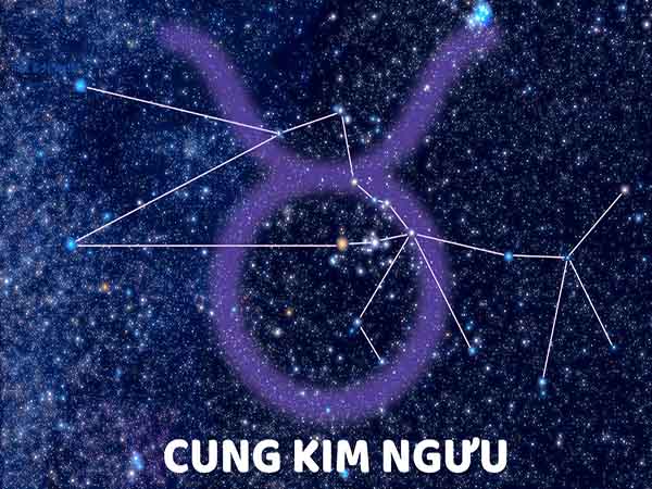 Vài nét về tử vi cung Kim Ngưu hôm nay ngày 18/5/2025 chủ nhật