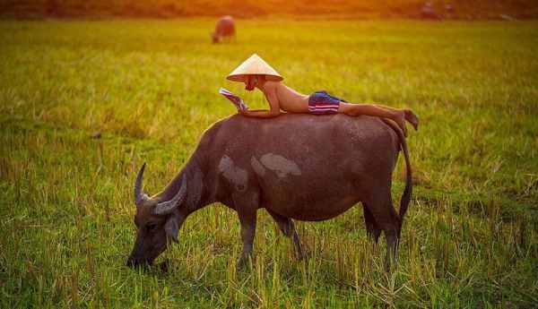 Con số may mắn tuổi Sửu hôm nay có đang ẩn tài lộc?